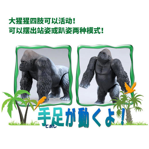 安利亚 - ANI-487999大猩猩 商品图2