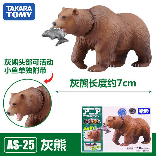 安利亚-ANI-876175灰熊 商品图3