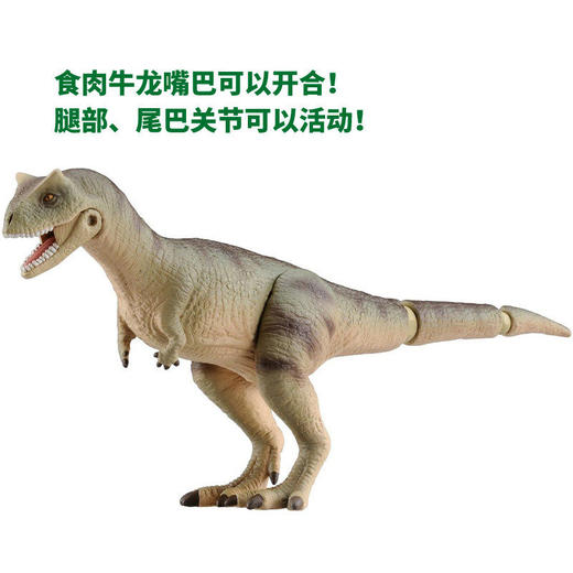 安利亚 -ANI-895671 食肉牛龙 商品图2