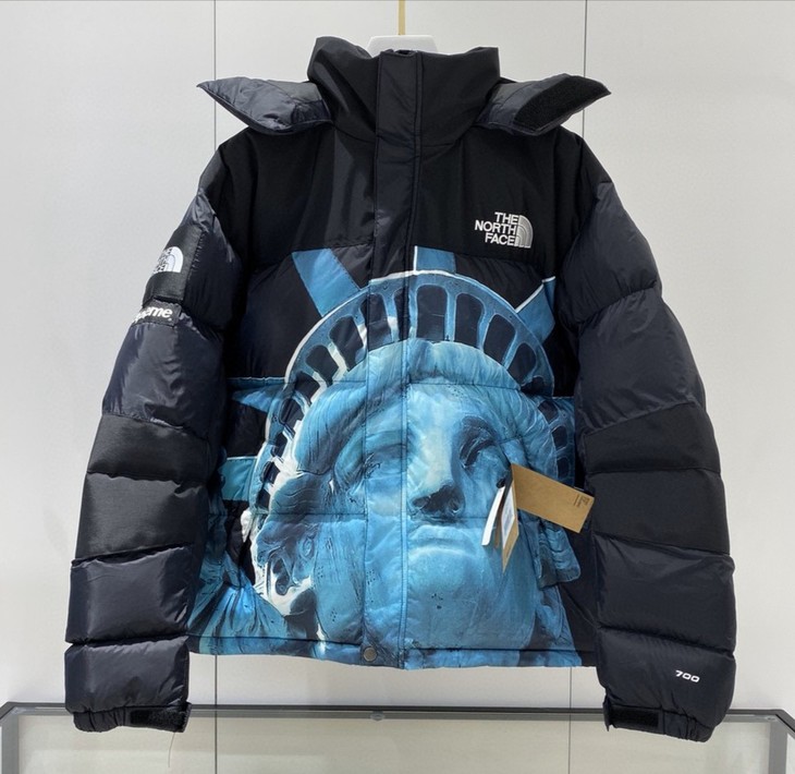 北面supreme 20fw联名款 科技防水自由女神羽绒服 情侣款