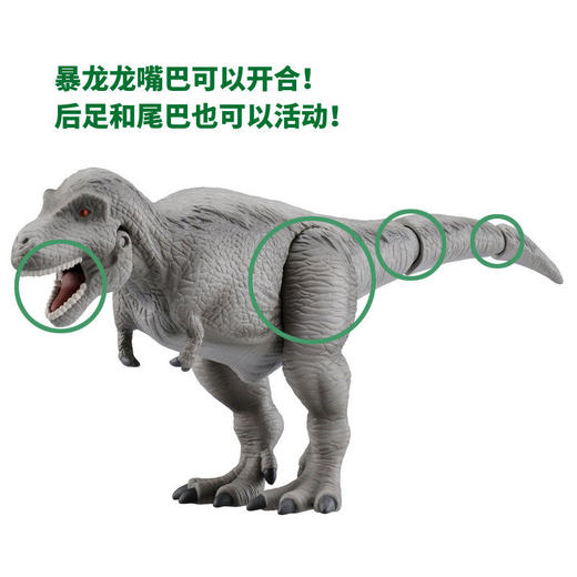 安利亚 - ANI-895725暴龙 (灰色) 商品图2