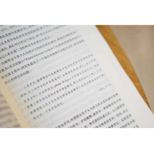 为什么是阿甘本？//当代学术棱镜译丛 商品图4