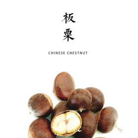 老树油栗 鲜板栗 500g  产地：河北秦皇岛