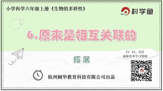 6.4.6《原来是互相关联的》拓展延伸课程 商品图0