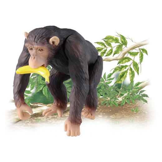 安利亚 - ANI-981497黑猩猩 商品图3