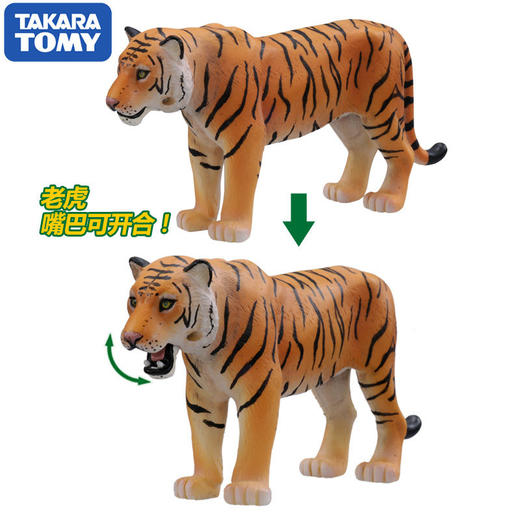 安利亚 - ANI-487951老虎 商品图2