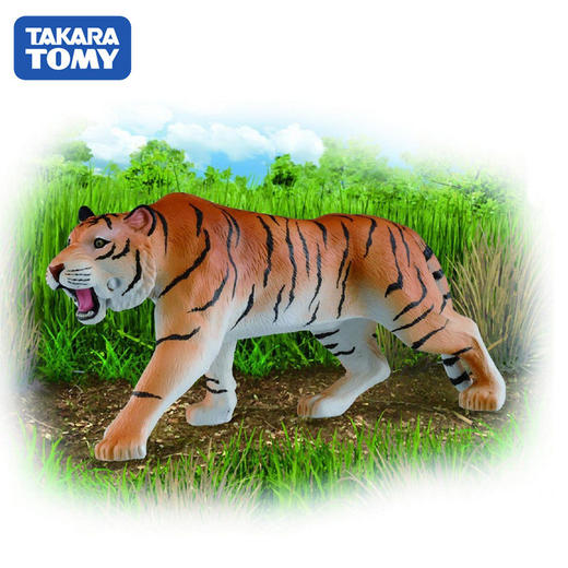 安利亚 - ANI-894193野生老虎 商品图3