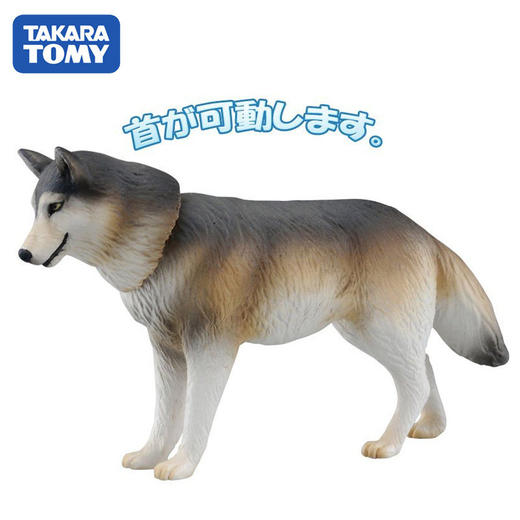 安利亚-ANI-876182狼 商品图3