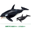 安利亚-ANI-137634虎鲸亲子（漂浮版） 商品缩略图2