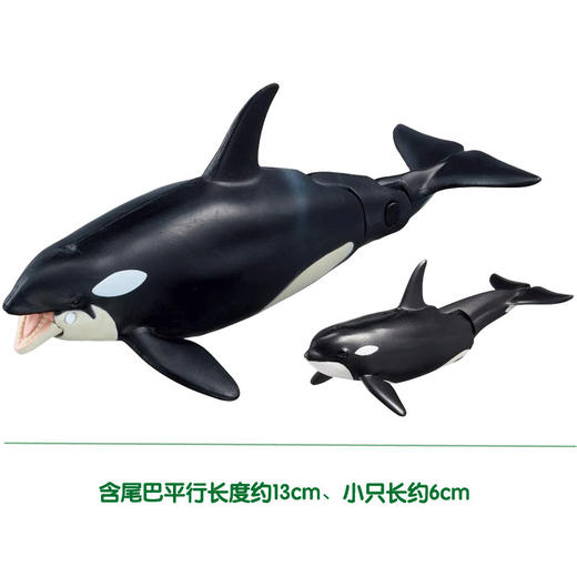 安利亚-ANI-137634虎鲸亲子（漂浮版） 商品图2