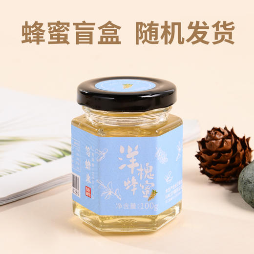 【蜂蜜盲盒】等蜂来天然蜂蜜100g天然蜂蜜，尝鲜不断，多款花蜜随机发货 商品图5