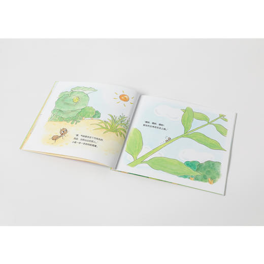 叽叽呱呱自然科普绘本(共15册) 商品图3
