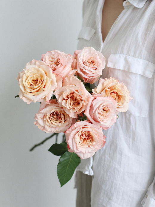 【你逆光而来 配得上这世间所有的好】简小姐精选 厄多瓜尔进口品种 稀有新品玫瑰 微光 2束包邮 下单72小时发货 商品图3