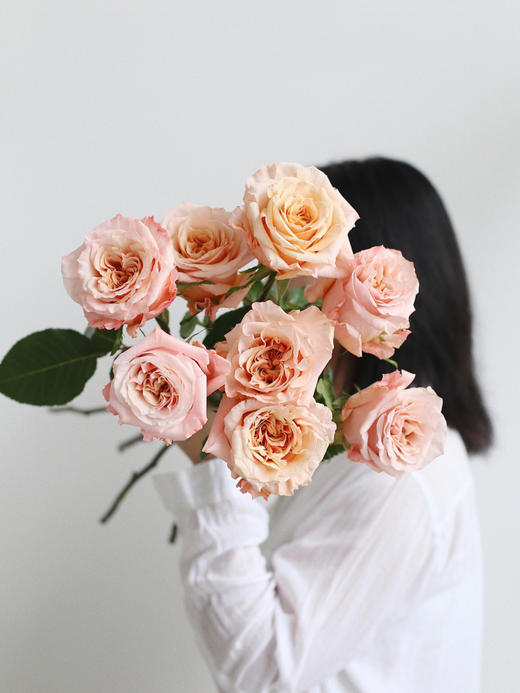 【你逆光而来 配得上这世间所有的好】简小姐精选 厄多瓜尔进口品种 稀有新品玫瑰 微光 2束包邮 下单72小时发货 商品图1