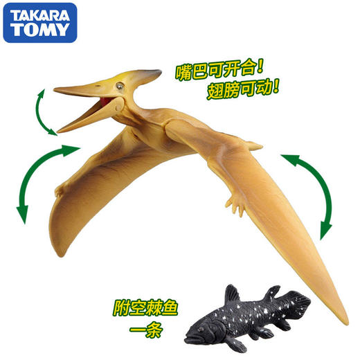 安利亚 - ANI-814818蝙蝠龙 商品图2