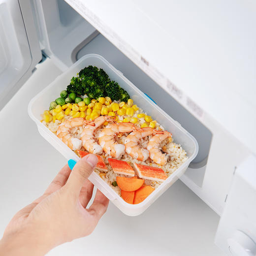 【茶花】欧铂兹抗菌透明保鲜盒饭盒 商品图1