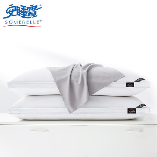 【春上新】10楼 安睡宝  静舒五星级酒店抗菌95%白鹅绒复合鹅毛加长枕43*83*3cm（赠长绒棉枕套1只）吊牌价1999元/只 活动价699元/只 商品图0