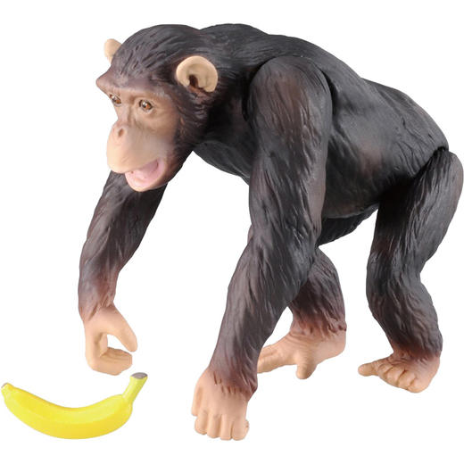 安利亚 - ANI-981497黑猩猩 商品图1