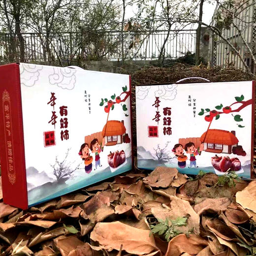 【陕西·富平】正宗富平柿饼 出口级品质 精品独立装 冬季健康休闲零食 甜糯吊柿子饼 商品图6