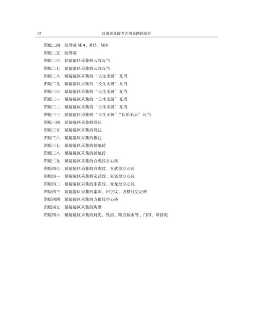 汉成帝延陵考古调查勘探报告 商品图4