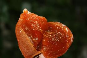  柿霜滋阴、柿肉补脾、柿蒂化咳……内外兼修的溏心柿饼 