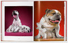 【现货】【TASCHEN】Walter Chandoha. Dogs Photographs 1941–1991，沃尔特·尚多哈:狗狗摄影集 商品缩略图5