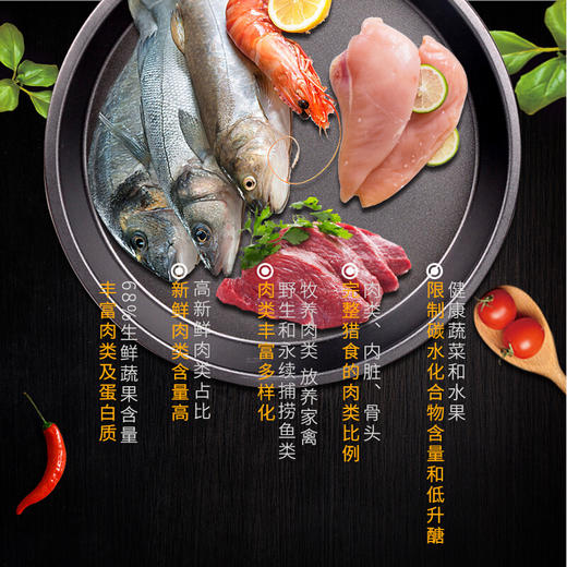 纽粹臣全期冻干猫粮增肥发腮营养1.5kg 商品图2