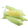 鲜玉米(3只装) 商品缩略图0