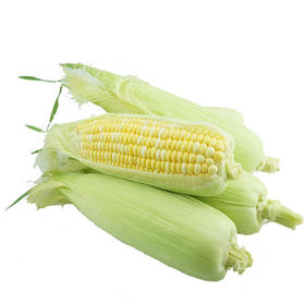 鲜玉米(3只装)