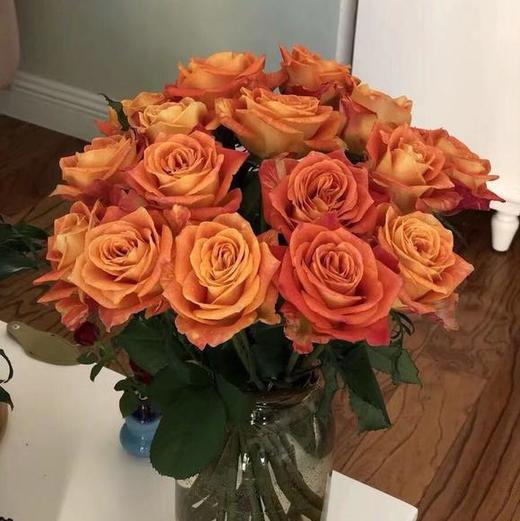 欢乐颂 商品图1