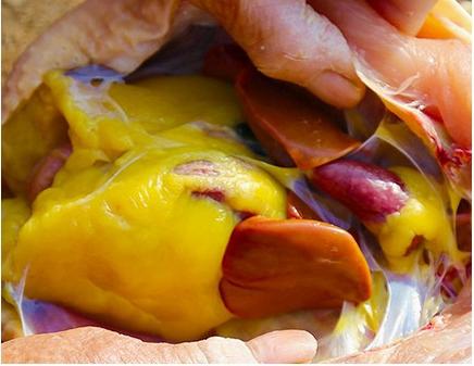 来斯老母鸡，纯粮养足400天，正经八百的好味道 商品图2