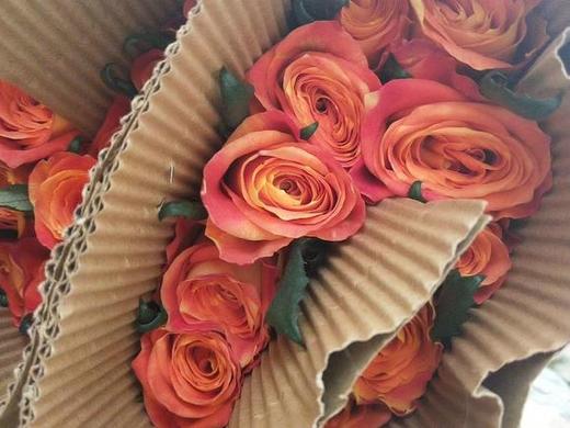 欢乐颂 商品图3