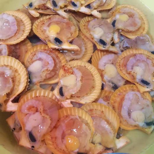 新鲜扇贝（鲜活现开） 商品图0