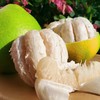 梅州老树沙田柚子 5斤/10斤 商品缩略图11