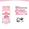 皇家猫粮幼猫奶糕猫粮 BK34 1-4月孕猫奶猫离乳期必备 商品缩略图0