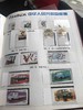 1996年邮票年册一册 商品缩略图6