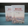 制内市场 中国国家主导型政治经济学 商品缩略图1