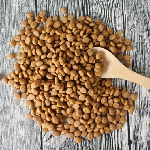 艾尔牛肉鲑鱼全价猫粮 成猫幼猫通用型美短加菲英短猫粮1斤装 500g 商品图3