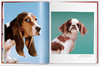 【现货】【TASCHEN】Walter Chandoha. Dogs Photographs 1941–1991，沃尔特·尚多哈:狗狗摄影集 商品缩略图6