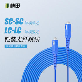 3米单模单芯单模双芯铠装光纤跳线蓝色SC-SC/LC-LC  541SS1/541LL2/