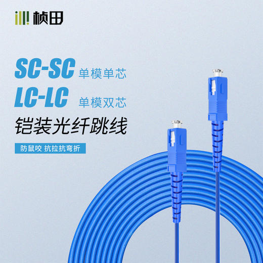 3米单模单芯单模双芯铠装光纤跳线蓝色SC-SC/LC-LC  541SS1/541LL2/ 商品图0