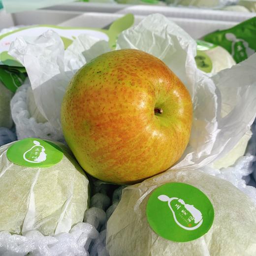 【山西隰县玉贵妃玉露香梨】约10斤/礼盒，酥脆无渣，梨香回味持久 商品图5