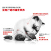 皇家猫粮幼猫奶糕猫粮 BK34 1-4月孕猫奶猫离乳期必备 商品缩略图1