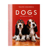 【现货】【TASCHEN】Walter Chandoha. Dogs Photographs 1941–1991，沃尔特·尚多哈:狗狗摄影集 商品缩略图0