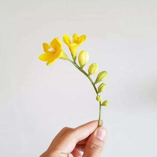 配花-香雪兰-黄色-20支 商品图0