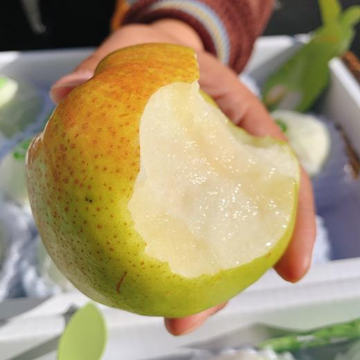 【山西隰县玉贵妃玉露香梨】约10斤/礼盒，酥脆无渣，梨香回味持久 商品图7