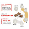 皇家猫粮幼猫奶糕猫粮 BK34 1-4月孕猫奶猫离乳期必备 商品缩略图2