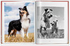 【现货】【TASCHEN】Walter Chandoha. Dogs Photographs 1941–1991，沃尔特·尚多哈:狗狗摄影集 商品缩略图1