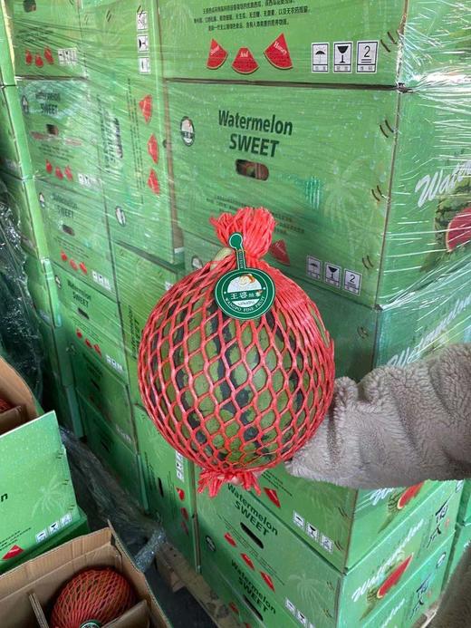 周三取货：【订金链接】特价6.5元/斤，一个9斤左右，王婆西瓜！肉质细脆，入口即化！纯粹的有点甜！ 商品图3