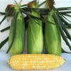 鲜玉米(3只装) 商品缩略图1